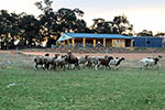 The beautiful landscape surrounding our restaurant.